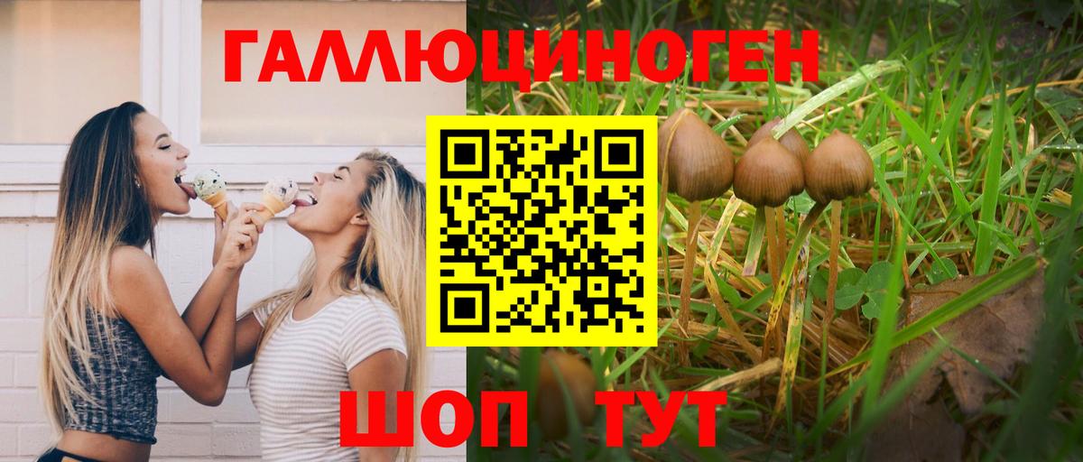 Сергиев Посад  Псилоцибиновые грибы Cubensis  Вход с VPN 